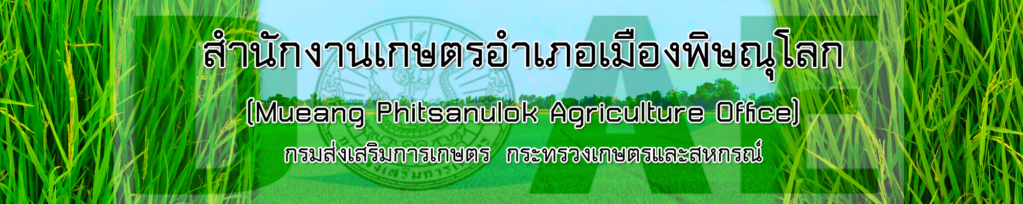 Mueang Phitsanulok Agriculture Office